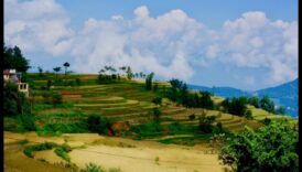 لماذا تكون بعض المناطق الطبيعية أكثر عرضة للكوارث الطبيعية؟