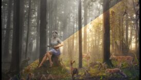 الغابات الغامضة: مشاهد الغابات وسحرها