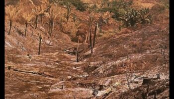 لماذا تكون بعض المناظر الطبيعية أكثر عرضة لتدمير الموائل؟