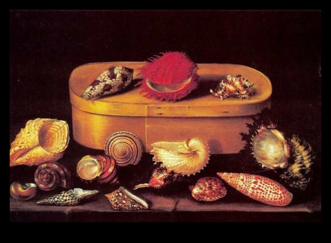 الكائنات في الراحة: استكشاف عالم الحياة الساكنة