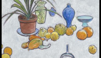 الكائنات في الراحة: استكشاف عالم الحياة الساكنة