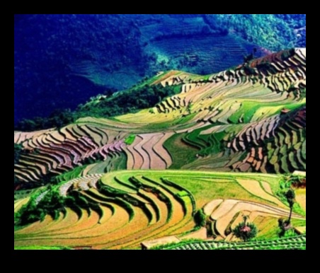 كيف تساهم المناظر الطبيعية في الممارسات والتقاليد الثقافية للمجتمعات؟