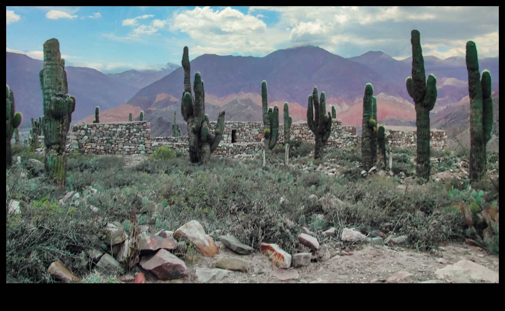 كيف تساهم المناظر الطبيعية في الممارسات والتقاليد الثقافية للمجتمعات؟