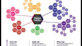 خفة الحركة الدائمة: الحفاظ على المرونة والتنقل من خلال التمرين