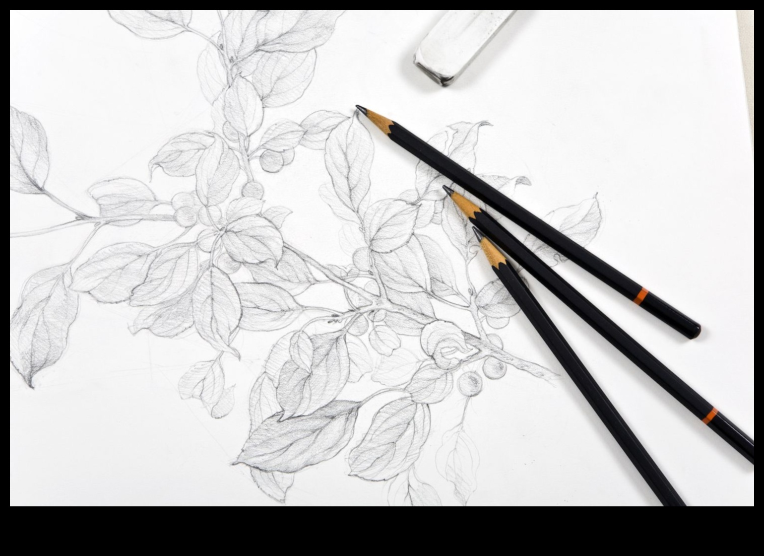 طيف الإبداع: صياغة فنون متنوعة باستخدام أقلام الرصاص