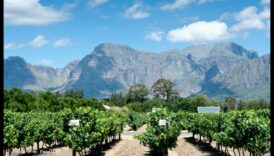 كيف تلهم المناظر الطبيعية وتؤثر على تقاليد الطهي؟