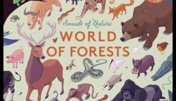 الطبيعة اللحنية: تناغمات المناظر الطبيعية في الموسيقى