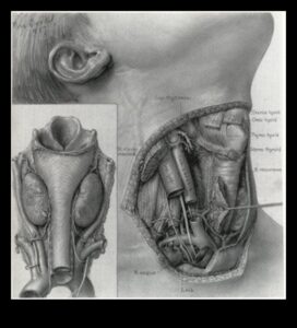 الواقعية التقنية: نقل التفاصيل في الرسوم التوضيحية العلمية