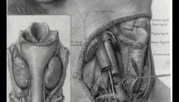 الواقعية التقنية: نقل التفاصيل في الرسوم التوضيحية العلمية