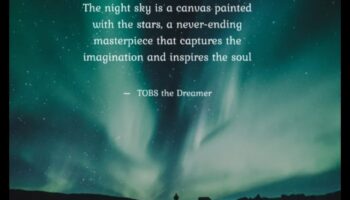 المروج المقمرة: المناظر الطبيعية الأثيرية تحت سماء الليل