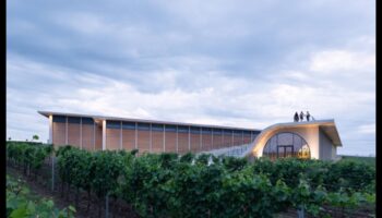 آفاق الكروم II: استكشاف فن مزارع الكروم في جميع أنحاء العالم