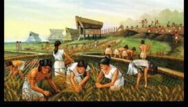 الحنين في الفترة الحجري المناقشة: نظرة في الوراء في الازدهار الفني للزراعة المبكرة 3 الحنين إلى العصر الحجري الحديث: يزدهر الفني في الزراعة المبكرة